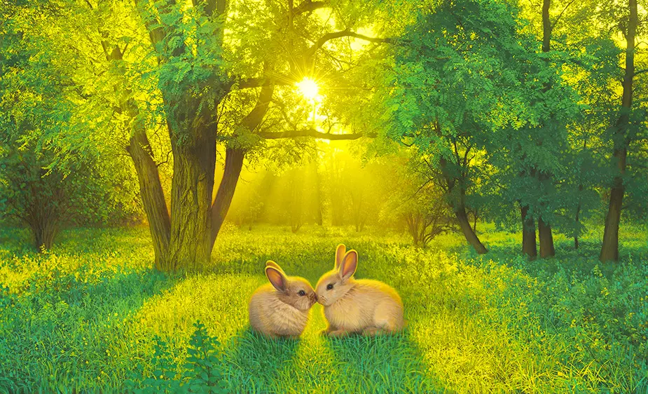 サマーラブ/Summer Love